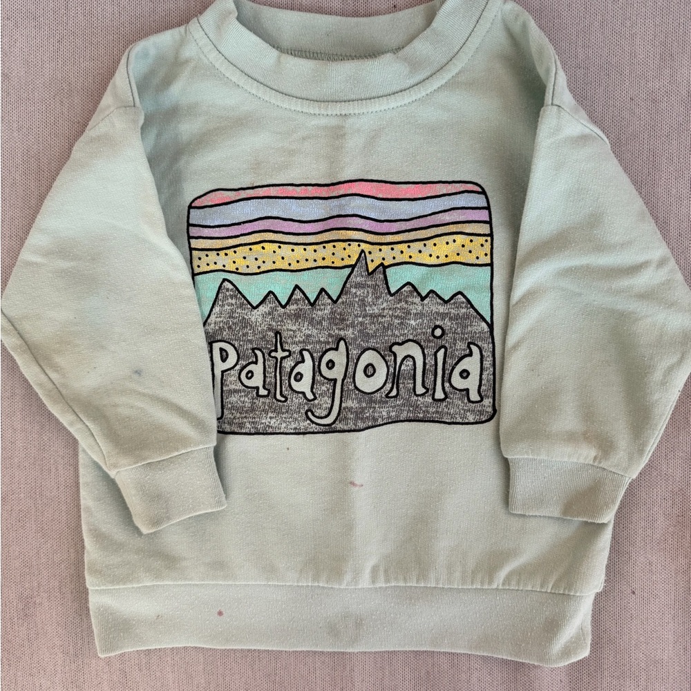 Baby Patagonia Sweater 18mo